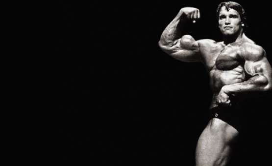 Principios para ganar masa muscular