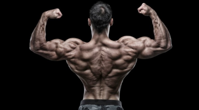 strong-back-768x425