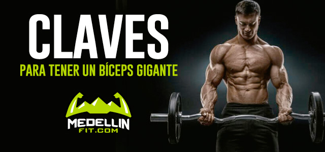 plclaves-biceps-gigante