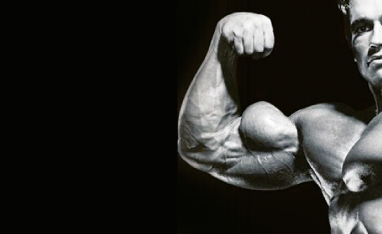¿Cómo construir la cabeza corta del bíceps?