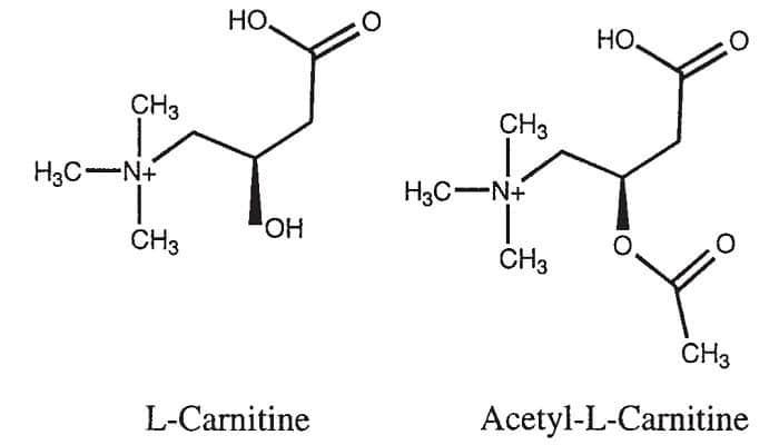 acetil-l-carnitina_opt