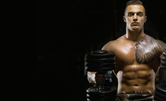 ¿Cómo afecta la Testosterona el crecimiento muscular y la quema de grasas?