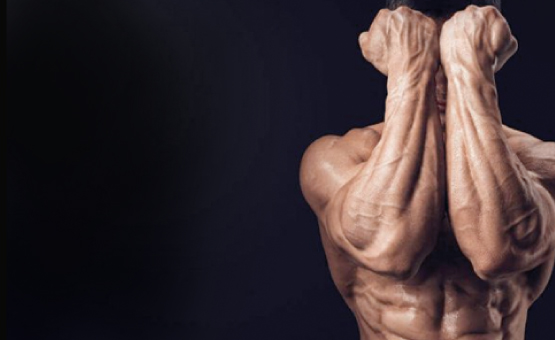 5 músculos que no debes olvidar ejercitar en tus entrenamientos